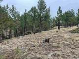 11562 Red Canyon Rd - Photo 2