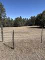 11562 Red Canyon Rd - Photo 3