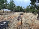 11562 Red Canyon Rd - Photo 4