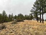 11562 Red Canyon Rd - Photo 5