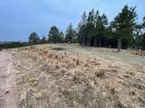 11562 Red Canyon Rd - Photo 9