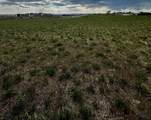 490 Tower Rd - Photo 4