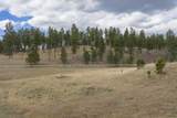 Lot 7 Caledonia Trl - Photo 10