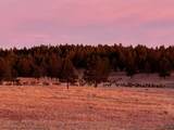 12090 Hart Rd - Photo 19