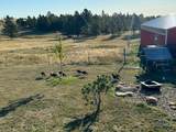 12090 Hart Rd - Photo 24
