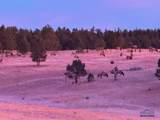 12090 Hart Rd - Photo 33