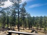 12127 Chickadee Ln - Photo 5