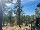 12127 Chickadee Ln - Photo 6