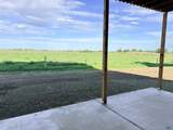 4258 Lodi Ln - Photo 18