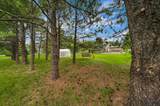 12205 Renata Dr - Photo 13