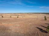 TRACT 17 Dewey Rd - Photo 14