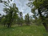 Lot 5 blk 12 Apple Springs Blvd - Photo 15