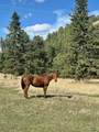 12458 Waterwheel Ln - Photo 6