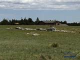 12090 Hart Rd - Photo 12