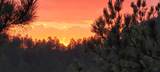 23716 Burnt Fork Rd - Photo 10