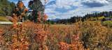 23716 Burnt Fork Rd - Photo 18