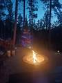 23716 Burnt Fork Rd - Photo 8