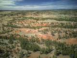 27222 Earp Rd - Photo 8