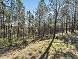 13484 Frontier Loop - Photo 4