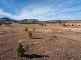 TRACT 17 Dewey Rd - Photo 6