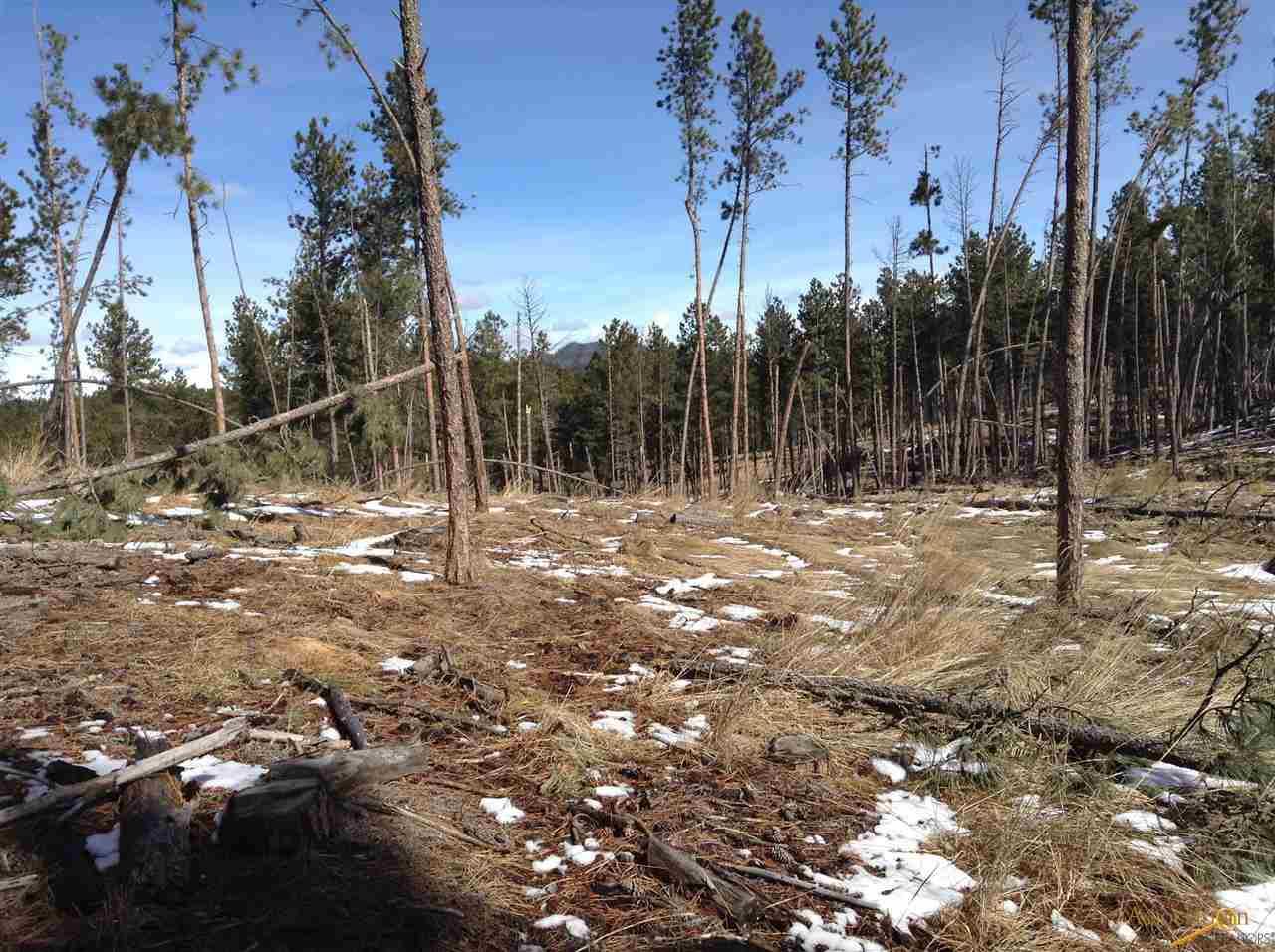 24015 Hwy 385 - Photo 1
