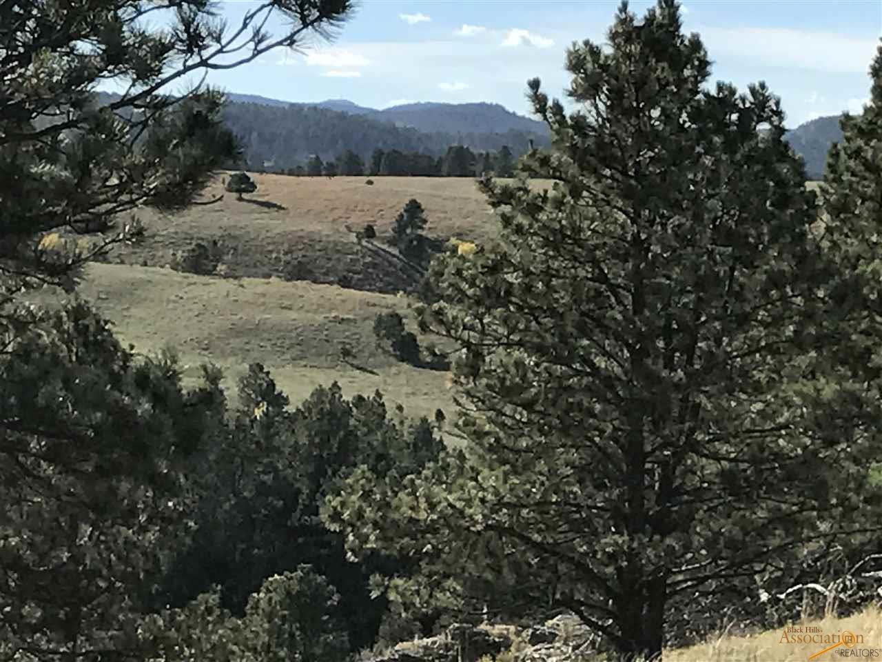 TBD Targhee Dr - Photo 1