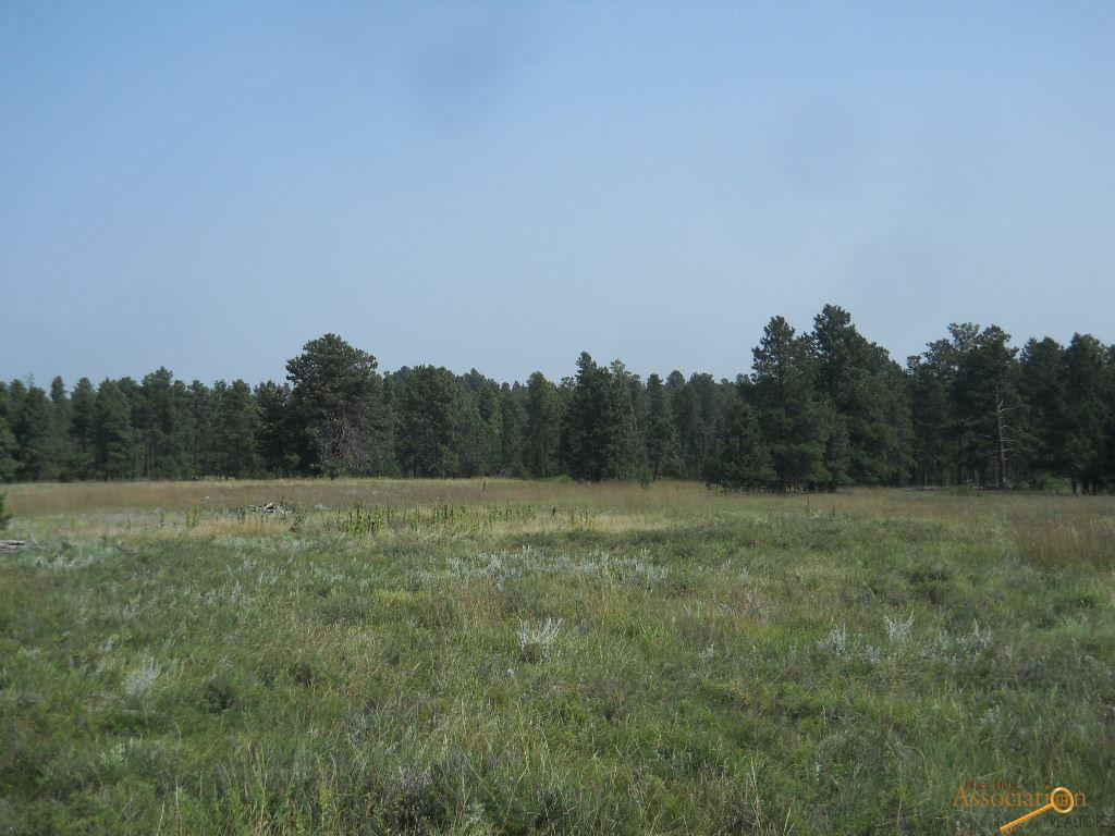 TBA Sun Ridge Rd - Photo 1