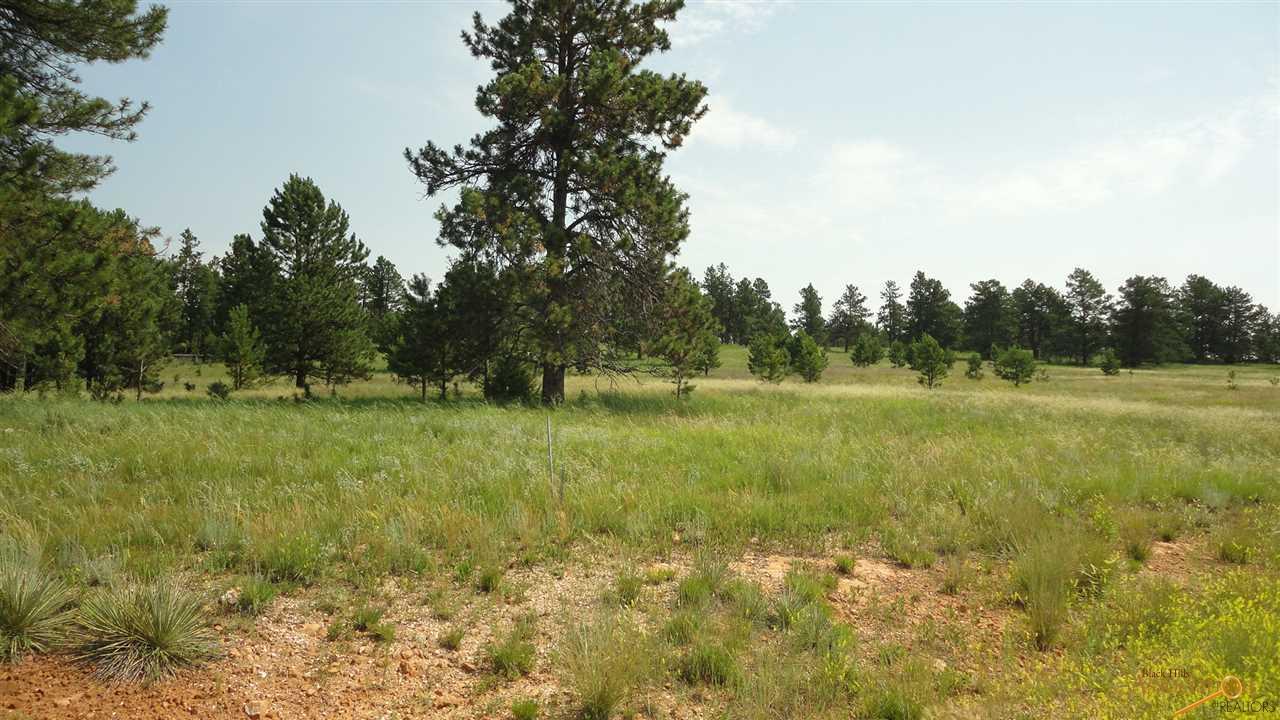 TBD 20 MILE RD - Photo 1