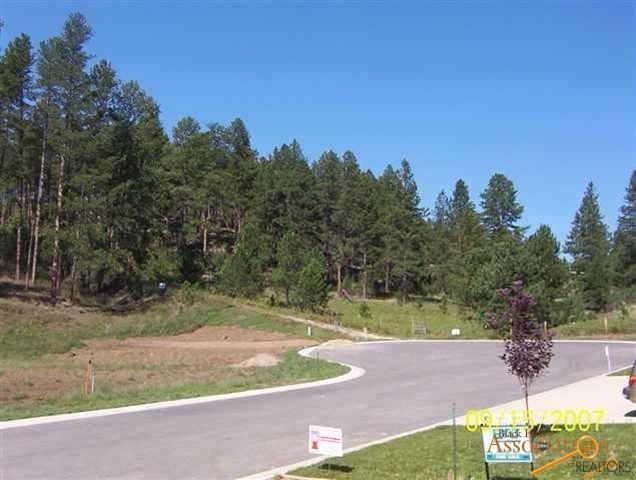 Lot 11R Granite Point Ct - Photo 1