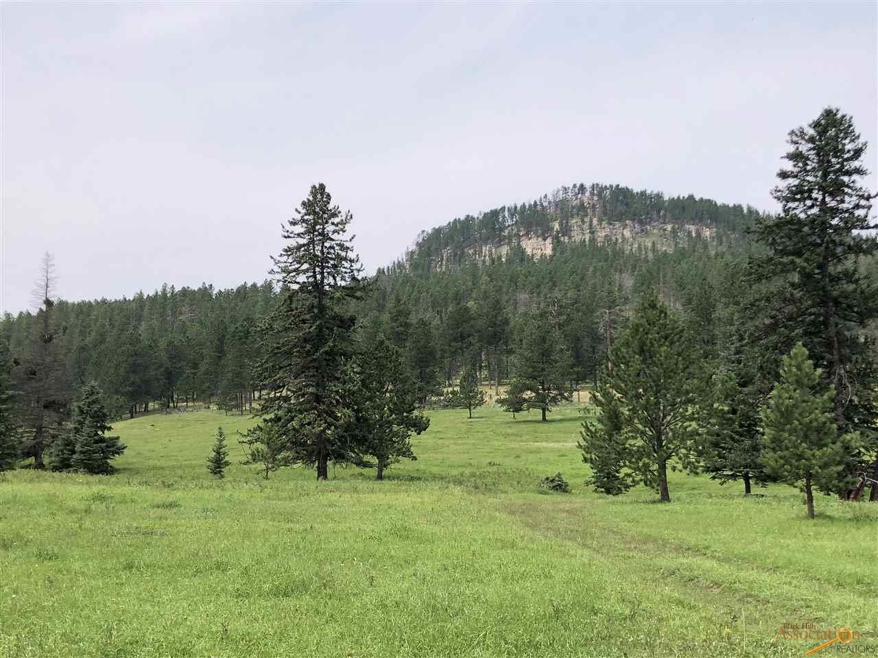 TBD Castle Creek Rd - Photo 1