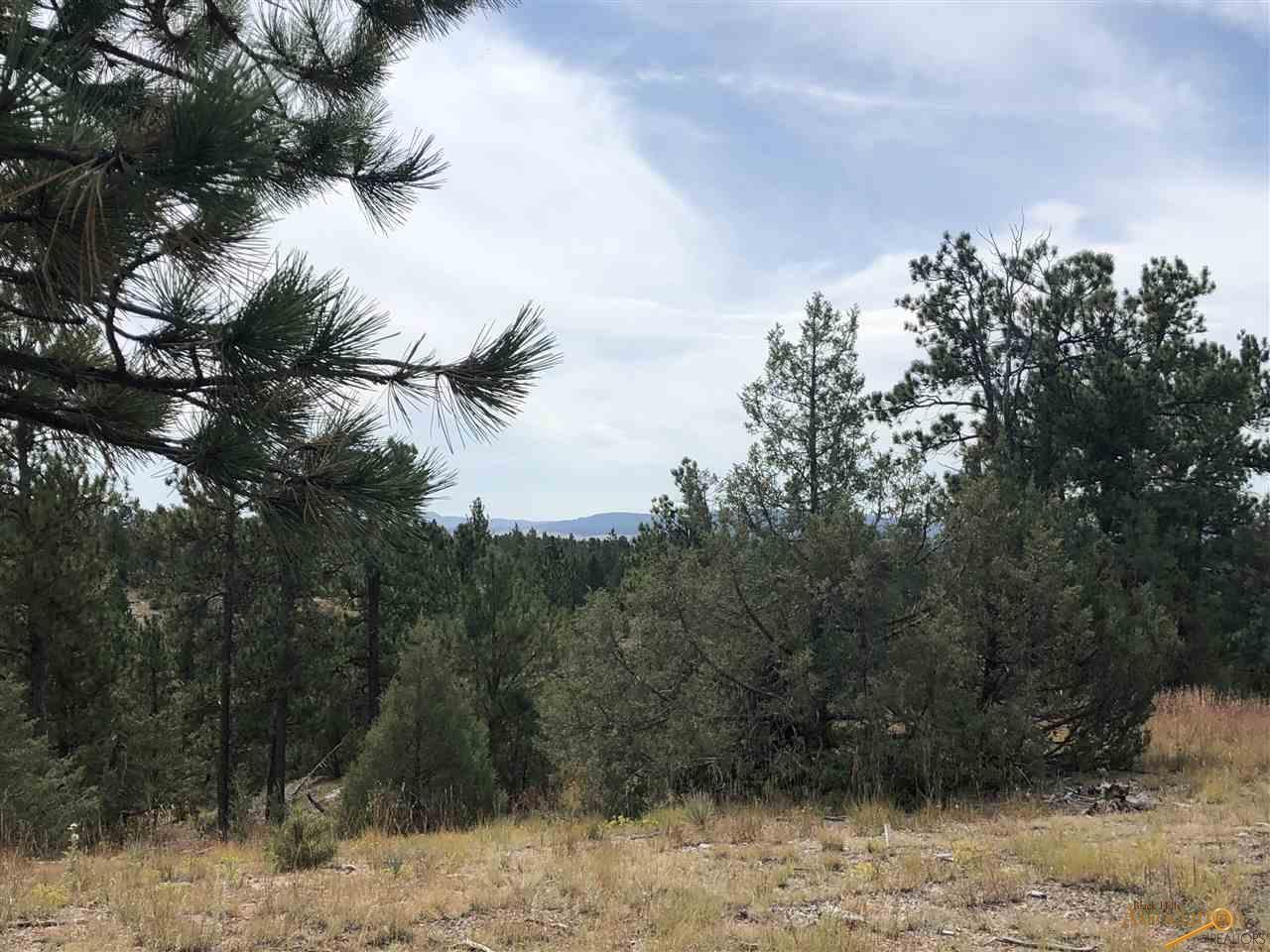 Lot 1 Red Canyon Rd - Photo 1
