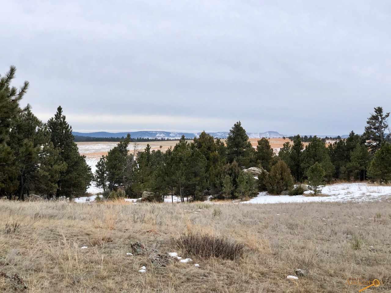 26675 Stage Stop Rd - Photo 1