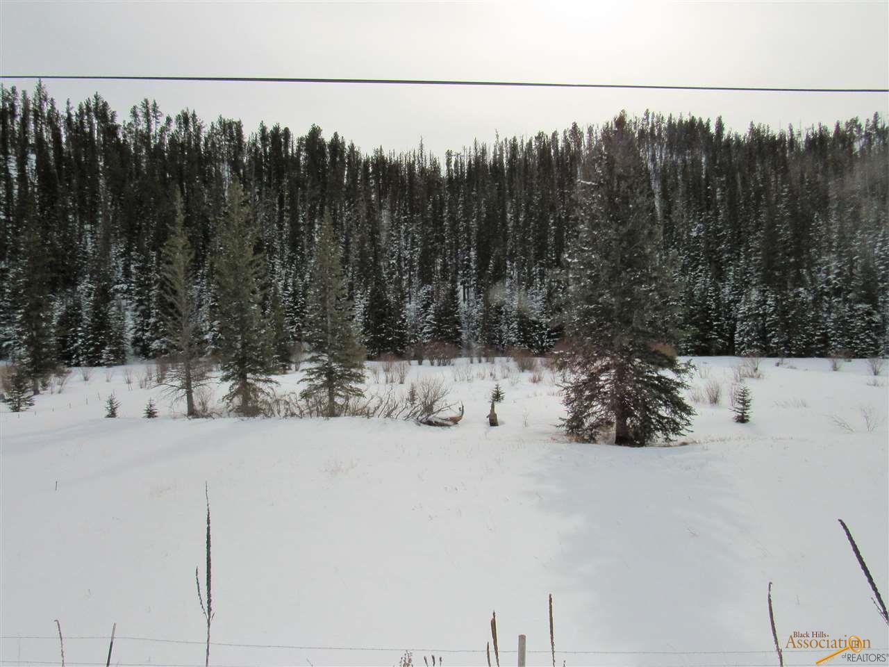 22864 Rochford Rd - Photo 1