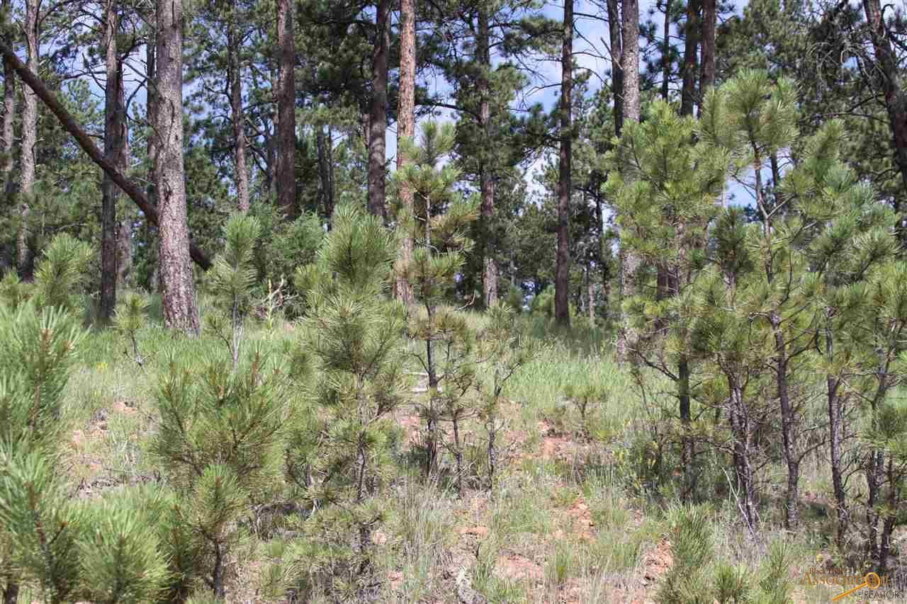 Lot 16 Wolf Ln - Photo 1