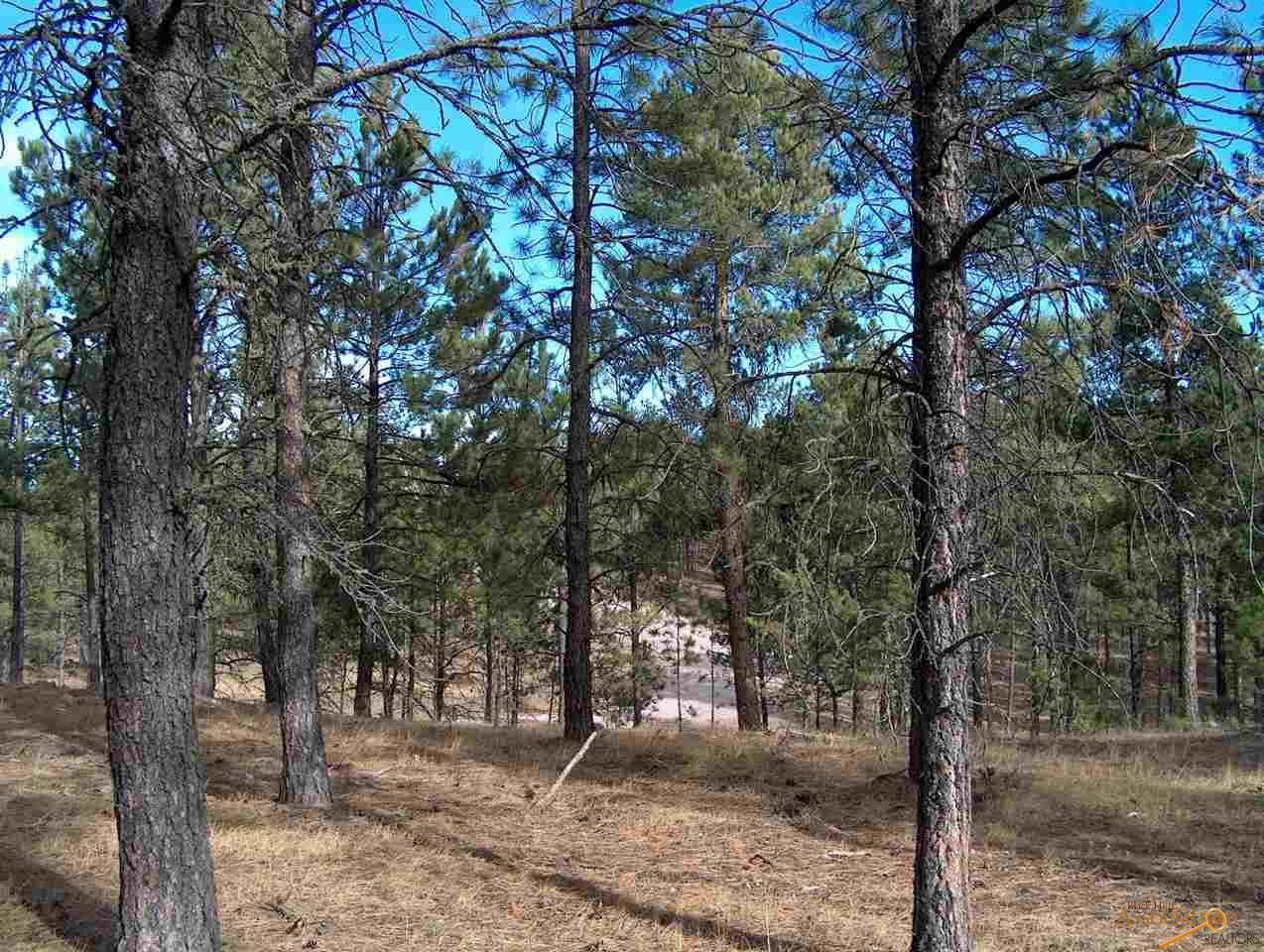 Lot 9 Other - Photo 1