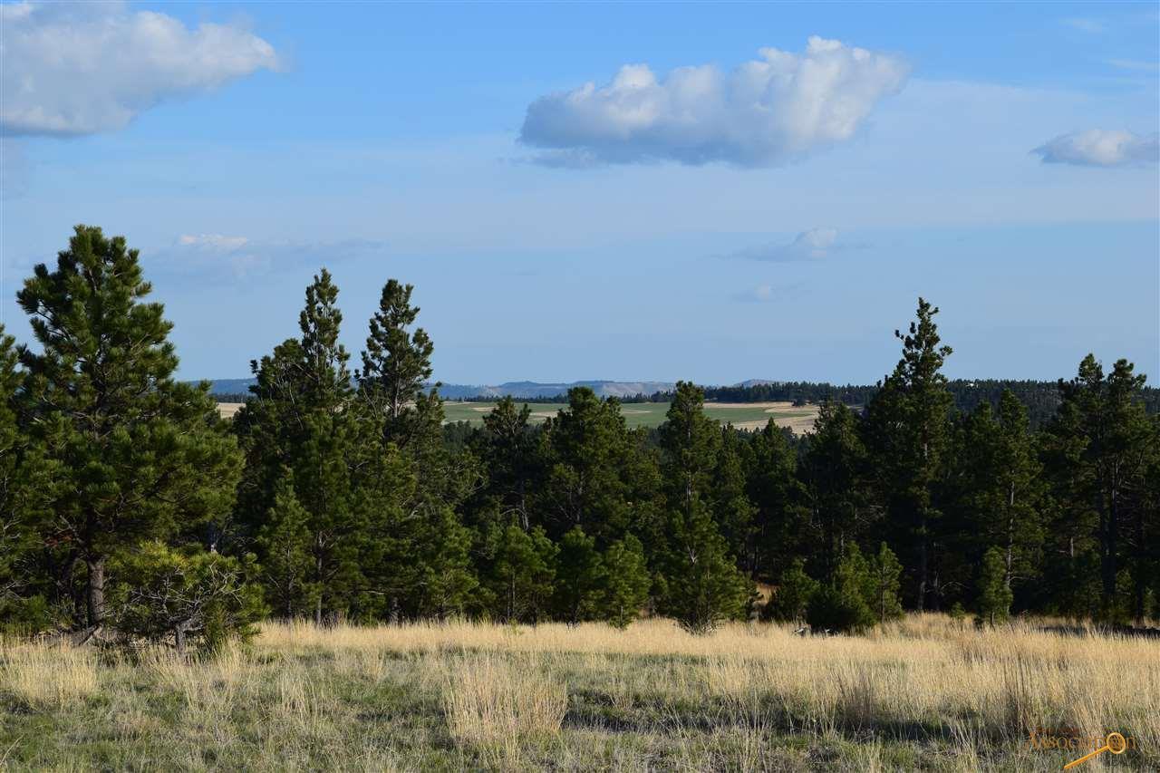 13 Elk Run Rd - Photo 1