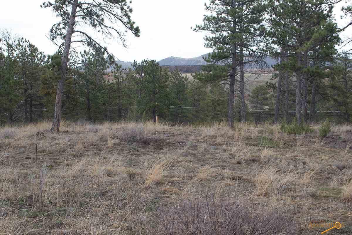 tbd Pine Hills Dr - Photo 1