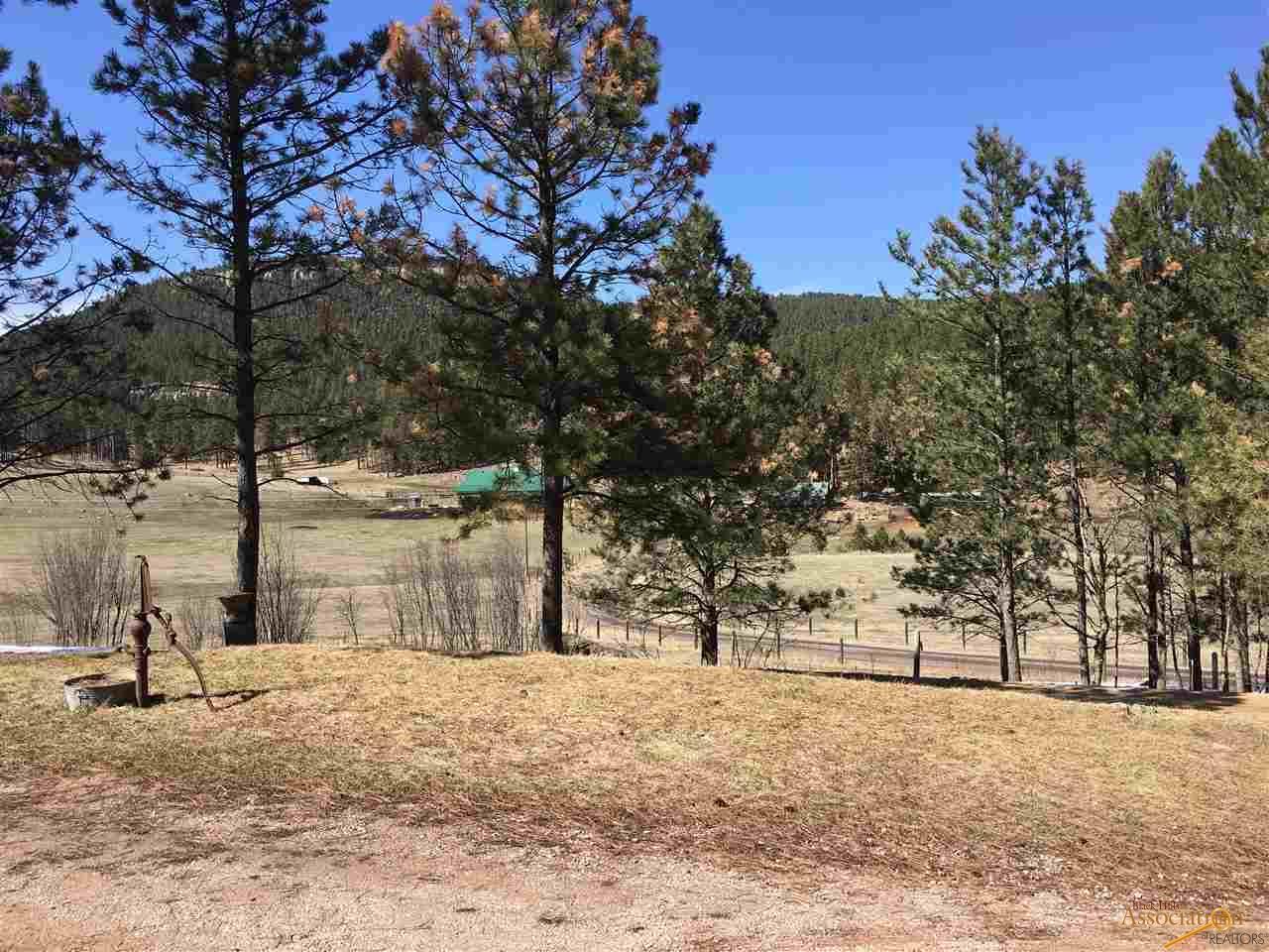 13007 Bogus Jim Road - Photo 1