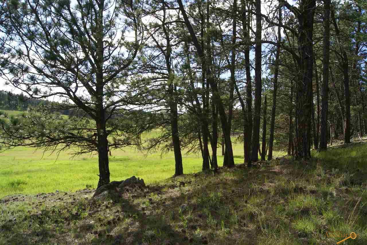 Tract 9B Sidney Trl - Photo 1
