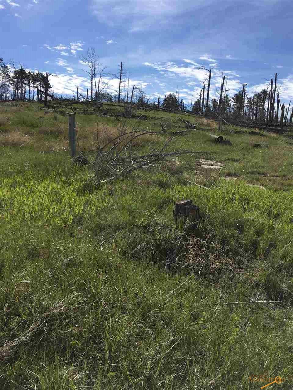 TBD Unaddressed Custer County - Photo 1