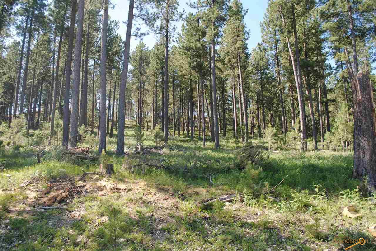 22574 Hazel Ln - Photo 1