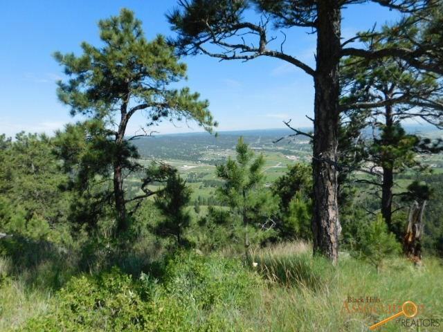 TBD Brook Dr - Photo 1