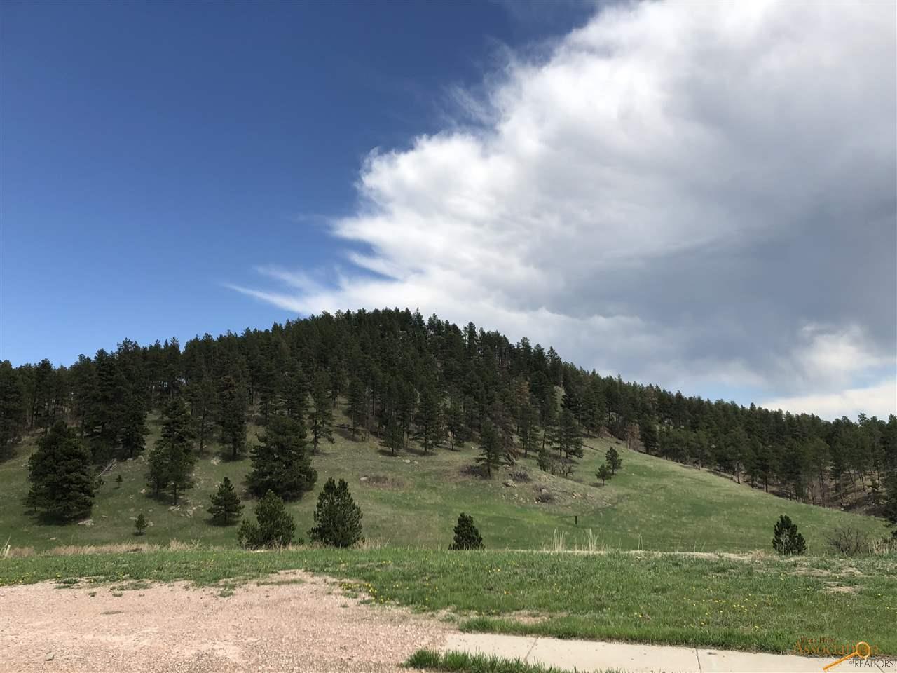 2220 Malibu Loop - Photo 1