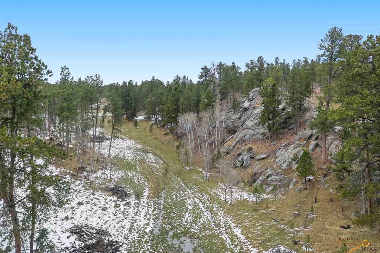 TBD Custer Limestone Rd - Photo 1