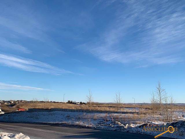1011 Elk Vale Rd - Photo 1