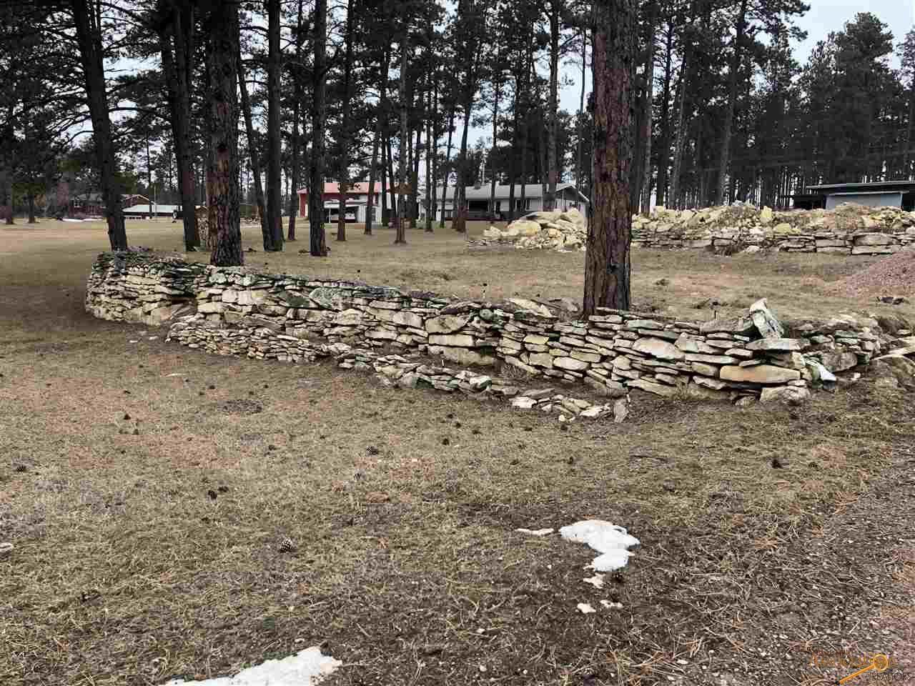 9790 Sheridan Lake Rd - Photo 1