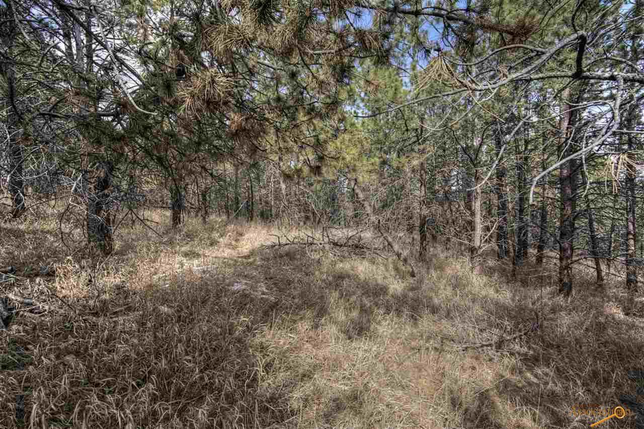3350 Skyline Dr - Photo 1