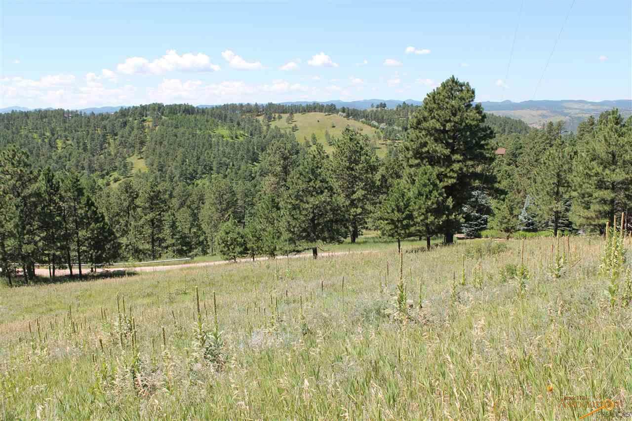 TBD Canyon View Ct - Photo 1