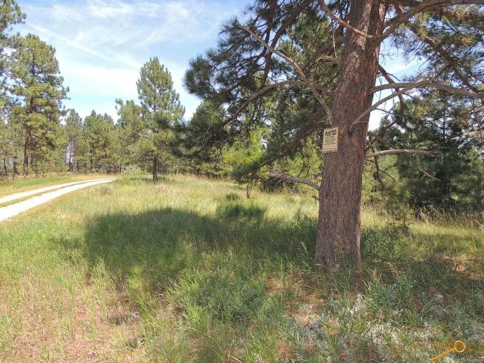 Lot 2 Chokecherry Ridge - Photo 1