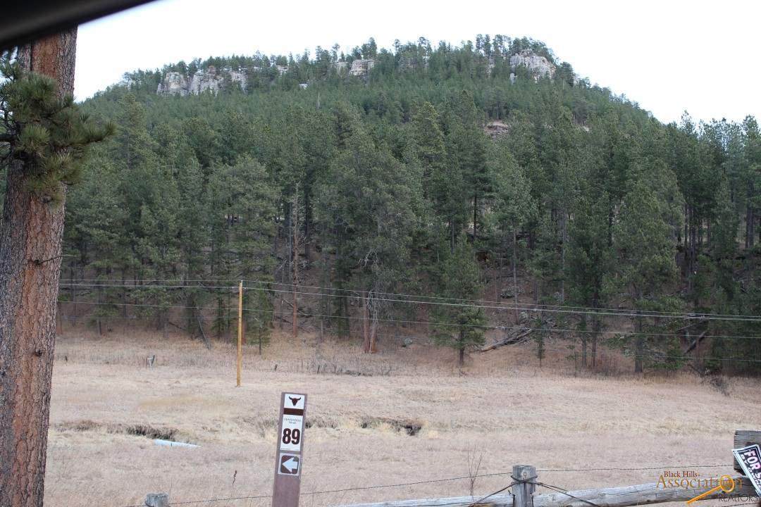 12688 Nemo Rd - Photo 1